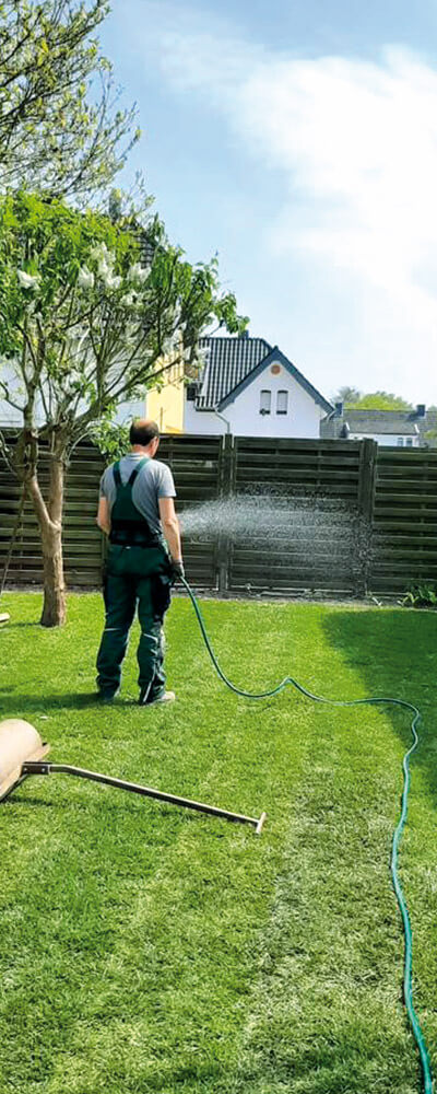 Watering the lawn